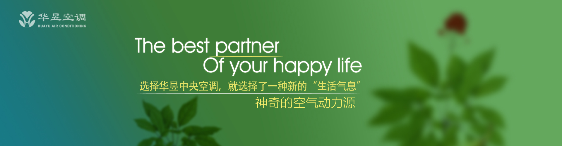闻风而动网